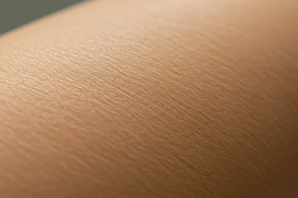 Men’s Arm Waxing: 2026 Smooth Skin Secrets