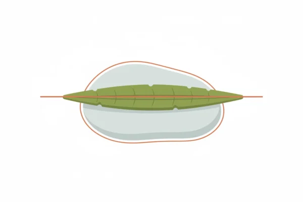 Leg Waxing: Why Skin Tension Matters for 2026 Comfort